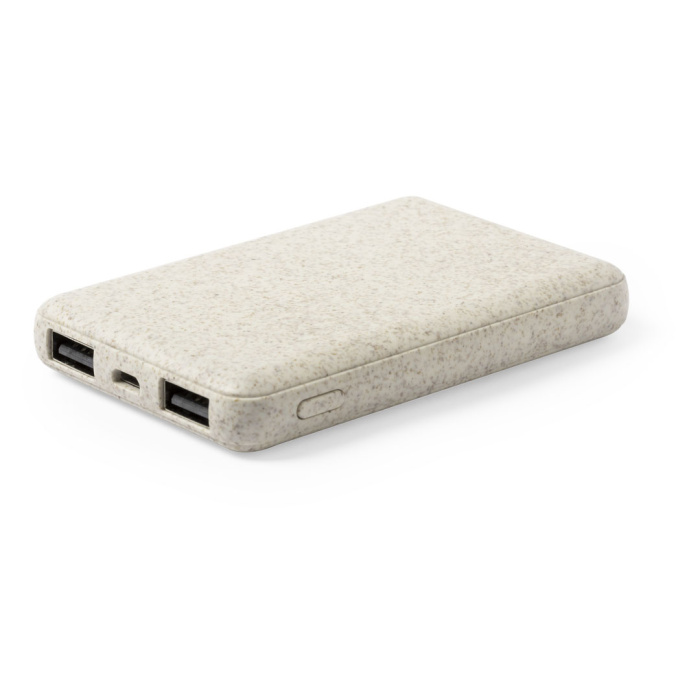 Batterie externe 5000 mAh